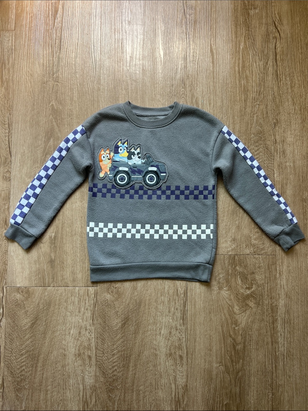 Bluey Unisex Gray Graphic Sweatshirt with Checkered Pattern Size 6